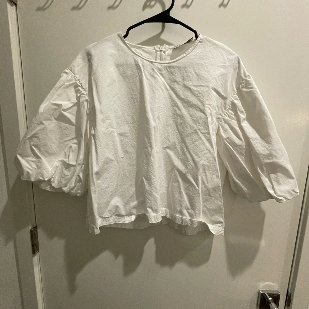 Zara - Picture 3 of 3